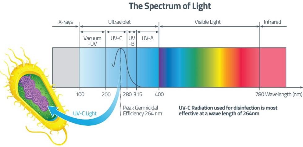 http://www.uvguard.com/wp-content/uploads/2015/09/uv-light-spectrum-dia.jpg