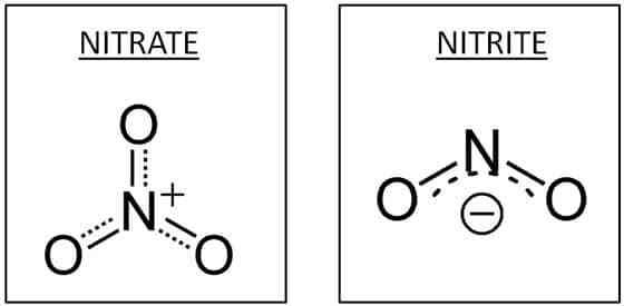 Image result for nitrate vs nitrite